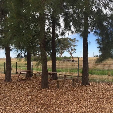 Aussie Cabins Hotell Dubbo Eksteriør bilde