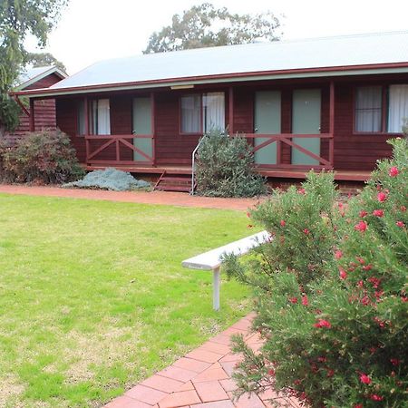 Aussie Cabins Hotell Dubbo Rom bilde