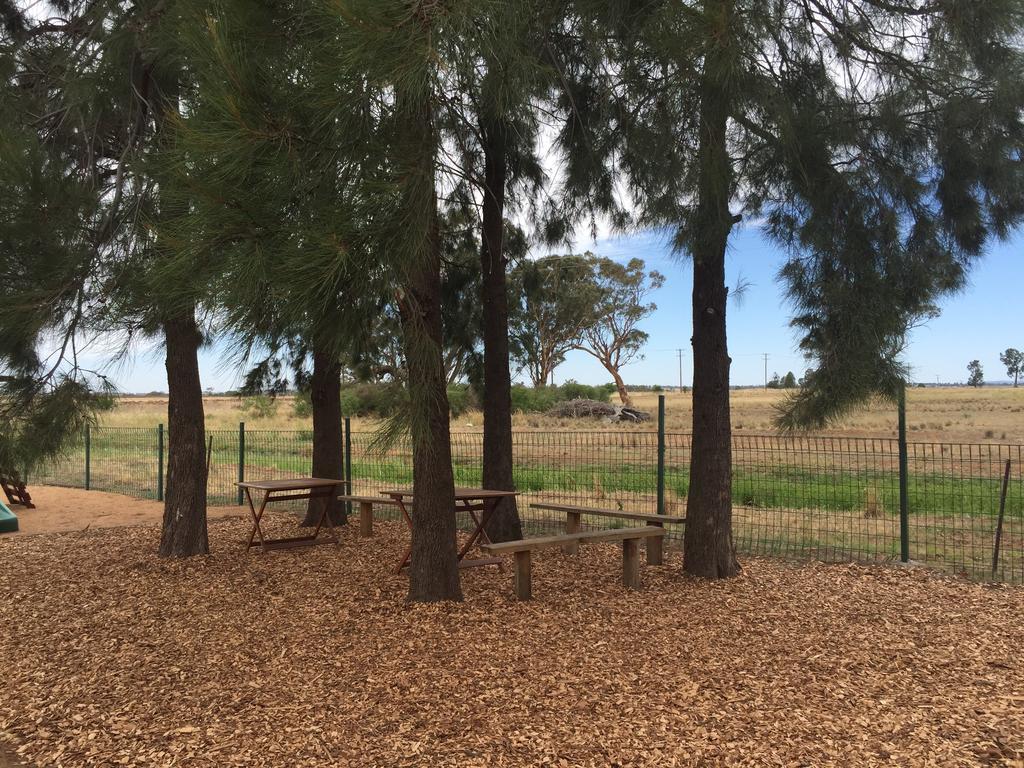 Aussie Cabins Hotell Dubbo Eksteriør bilde