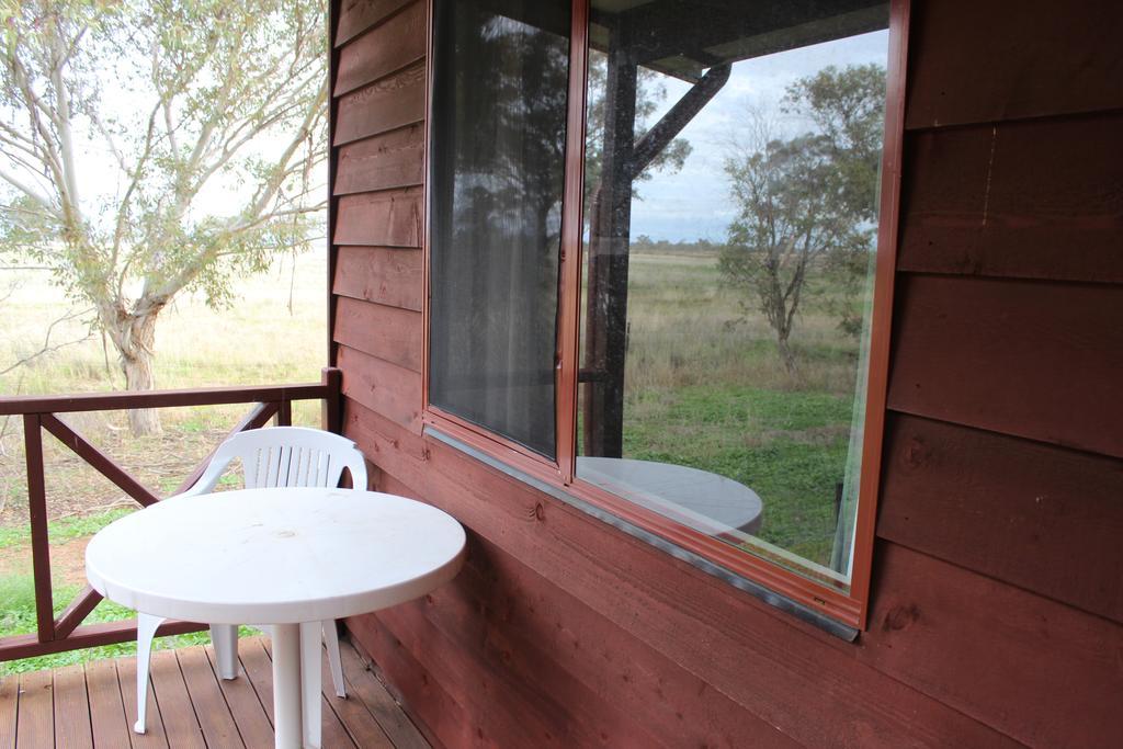 Aussie Cabins Hotell Dubbo Rom bilde